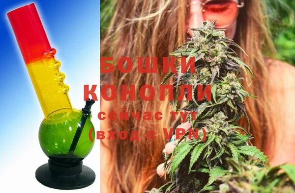 кокаин Белокуриха