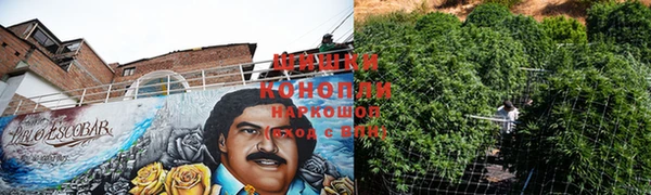кокаин Белокуриха