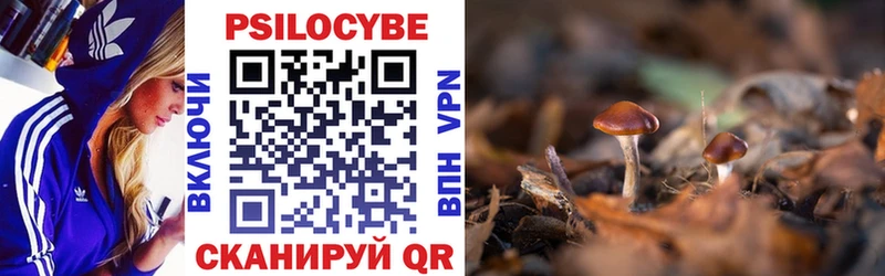Псилоцибиновые грибы Cubensis  как найти закладки  Очёр 